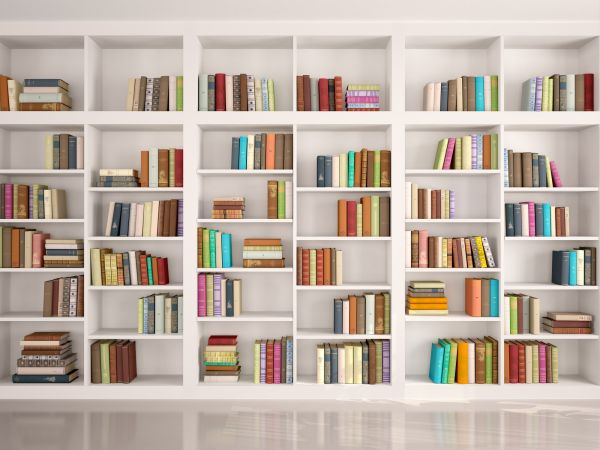 Bookshelf Assembly in Hilliard