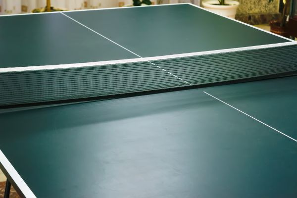 Ping Pong Table Assembly in Hilliard